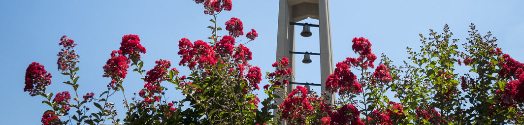 Bell tower with flowers in foreground.