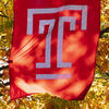 Temple Flag and Fall leaves